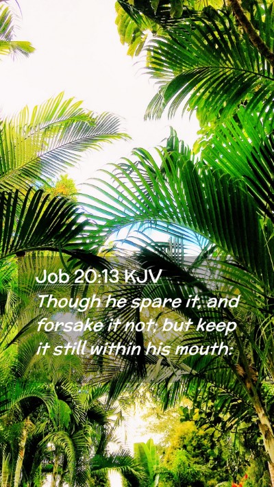 Picture 02 - Job 20:13 KJV Mobile Phone Wallpaper - Though he spare it, and forsake it not; but keep - Mobile Bible Verse Wallpaper
