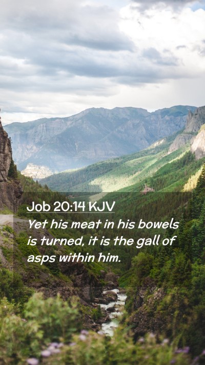 Picture 02 - Job 20:14 KJV Mobile Phone Wallpaper - Yet his meat in his bowels is turned, it is the - Mobile Bible Verse Wallpaper