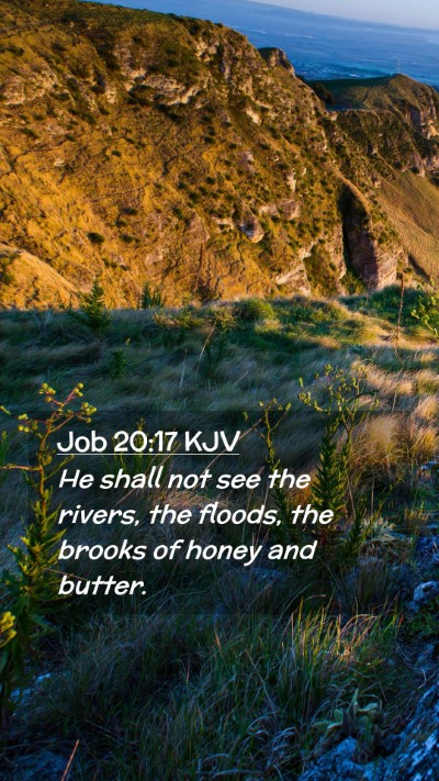 Picture 02 - Job 20:17 KJV Mobile Phone Wallpaper - He shall not see the rivers, the floods, the - Mobile Bible Verse Wallpaper