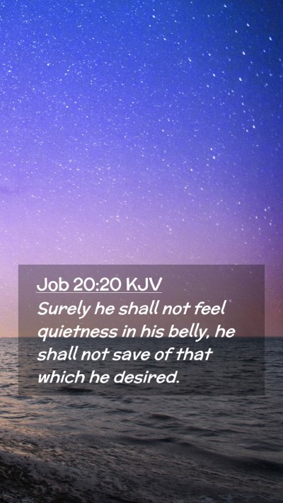 Picture 02 - Job 20:20 KJV Mobile Phone Wallpaper - Surely he shall not feel quietness in his belly, - Mobile Bible Verse Wallpaper