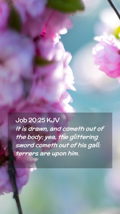 Picture 02 - Job 20:25 KJV Mobile Phone Wallpaper - It is drawn, and cometh out of the body; yea, the - Mobile Bible Verse Wallpaper