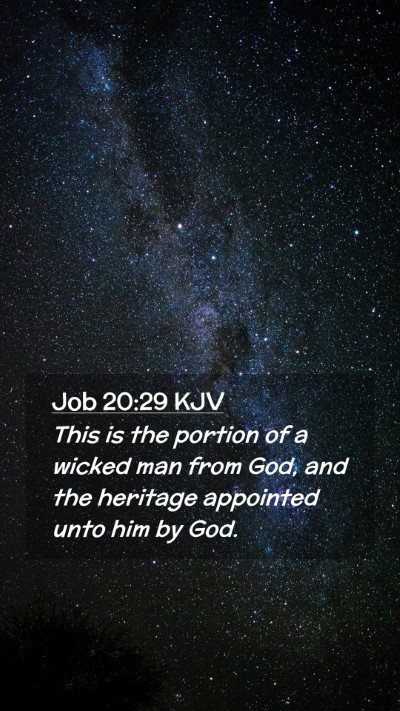 Picture 02 - Job 20:29 KJV Mobile Phone Wallpaper - This is the portion of a wicked man from God, and - Mobile Bible Verse Wallpaper