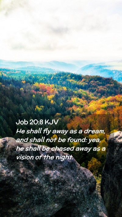Picture 02 - Job 20:8 KJV Mobile Phone Wallpaper - He shall fly away as a dream, and shall not be - Mobile Bible Verse Wallpaper