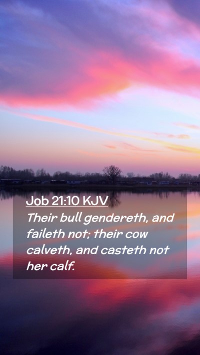 Picture 02 - Job 21:10 KJV Mobile Phone Wallpaper - Their bull gendereth, and faileth not; their cow - Mobile Bible Verse Wallpaper