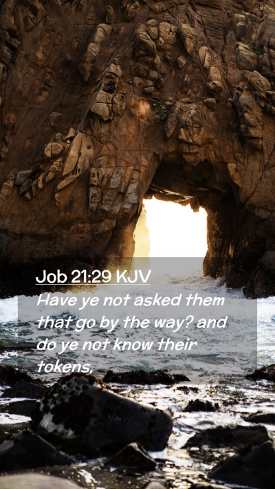 Picture 02 - Job 21:29 KJV Mobile Phone Wallpaper - Have ye not asked them that go by the way? and do - Mobile Bible Verse Wallpaper