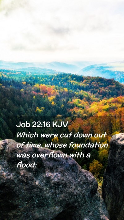Picture 02 - Job 22:16 KJV Mobile Phone Wallpaper - Which were cut down out of time, whose foundation - Mobile Bible Verse Wallpaper
