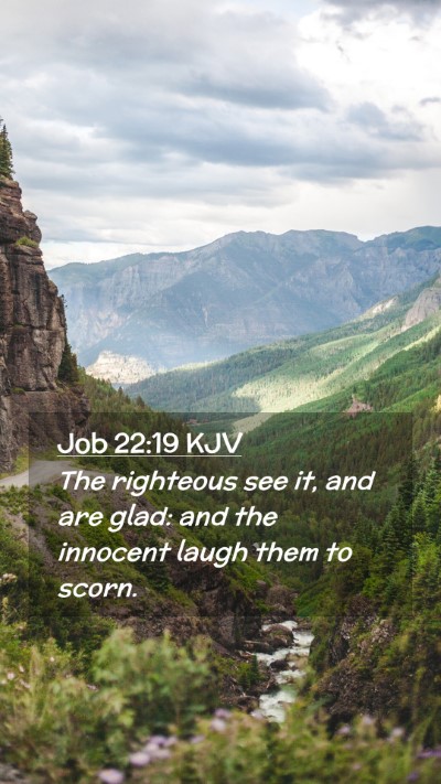 Picture 02 - Job 22:19 KJV Mobile Phone Wallpaper - The righteous see it, and are glad: and the - Mobile Bible Verse Wallpaper