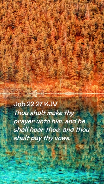 Picture 02 - Job 22:27 KJV Mobile Phone Wallpaper - Thou shalt make thy prayer unto him, and he shall - Mobile Bible Verse Wallpaper