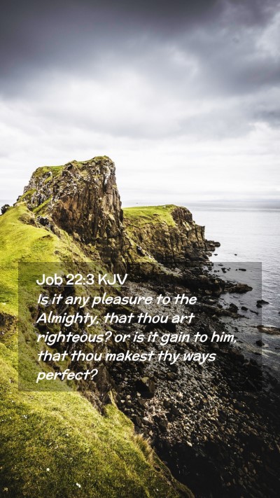 Picture 02 - Job 22:3 KJV Mobile Phone Wallpaper - Is it any pleasure to the Almighty, that thou art - Mobile Bible Verse Wallpaper