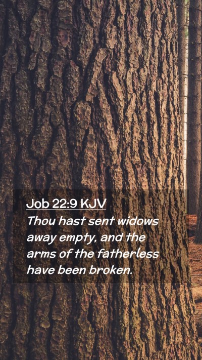 Picture 02 - Job 22:9 KJV Mobile Phone Wallpaper - Thou hast sent widows away empty, and the arms of - Mobile Bible Verse Wallpaper
