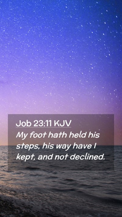 Picture 02 - Job 23:11 KJV Mobile Phone Wallpaper - My foot hath held his steps, his way have I kept, - Mobile Bible Verse Wallpaper