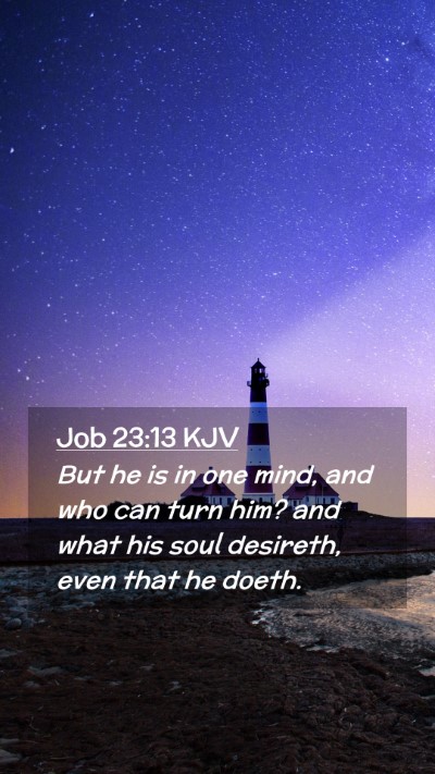 Picture 02 - Job 23:13 KJV Mobile Phone Wallpaper - But he is in one mind, and who can turn him? and - Mobile Bible Verse Wallpaper