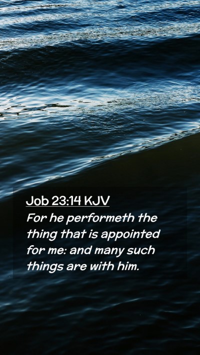 Picture 02 - Job 23:14 KJV Mobile Phone Wallpaper - For he performeth the thing that is appointed for - Mobile Bible Verse Wallpaper