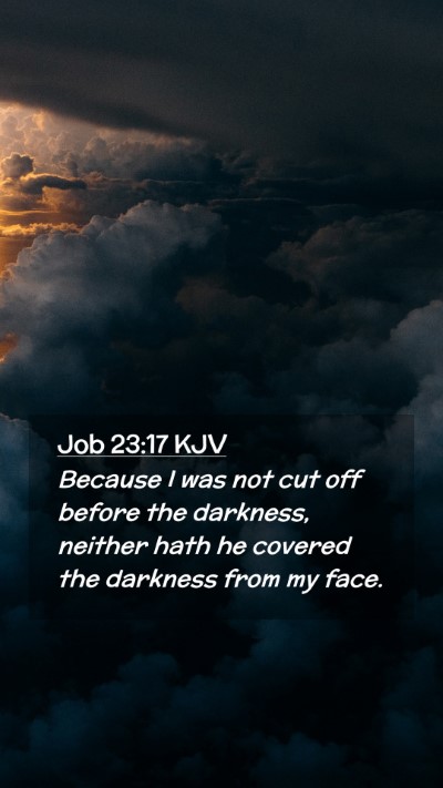 Picture 02 - Job 23:17 KJV Mobile Phone Wallpaper - Because I was not cut off before the darkness, - Mobile Bible Verse Wallpaper
