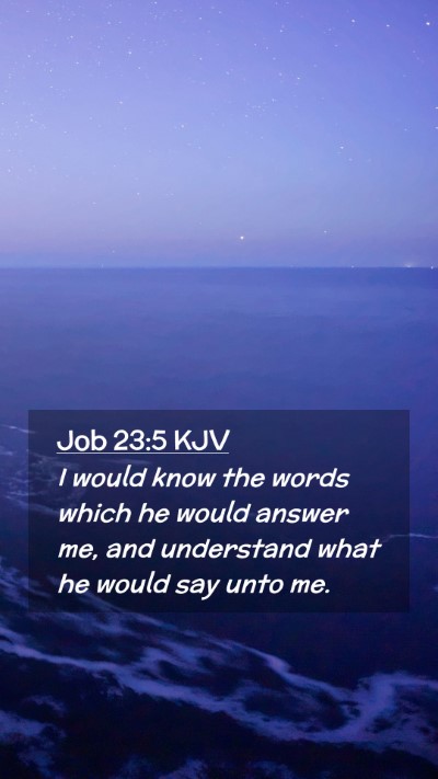 Picture 02 - Job 23:5 KJV Mobile Phone Wallpaper - I would know the words which he would answer me, - Mobile Bible Verse Wallpaper