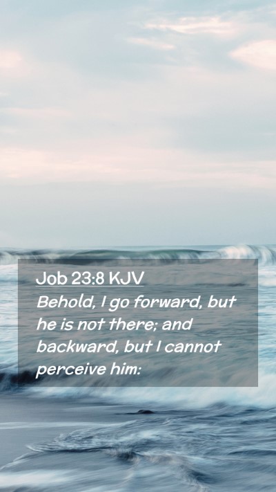 Picture 02 - Job 23:8 KJV Mobile Phone Wallpaper - Behold, I go forward, but he is not there; and - Mobile Bible Verse Wallpaper