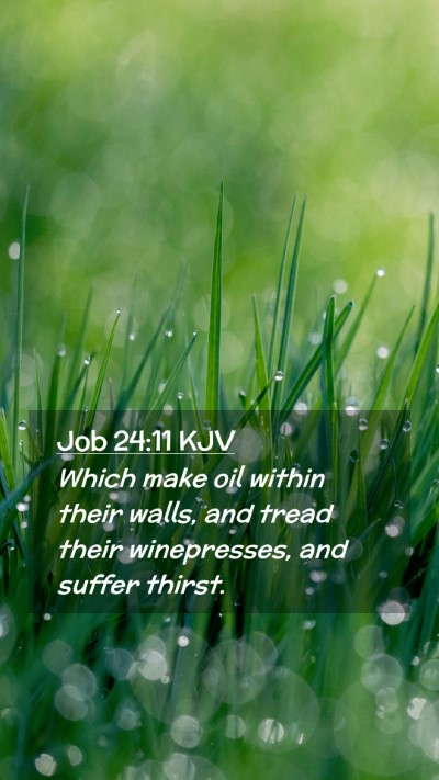 Picture 02 - Job 24:11 KJV Mobile Phone Wallpaper - Which make oil within their walls, and tread - Mobile Bible Verse Wallpaper