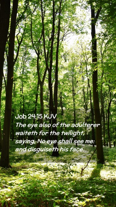 Picture 02 - Job 24:15 KJV Mobile Phone Wallpaper - The eye also of the adulterer waiteth for the - Mobile Bible Verse Wallpaper