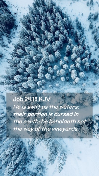 Picture 02 - Job 24:18 KJV Mobile Phone Wallpaper - He is swift as the waters; their portion is - Mobile Bible Verse Wallpaper