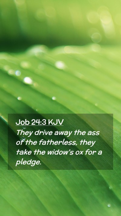 Picture 02 - Job 24:3 KJV Mobile Phone Wallpaper - They drive away the ass of the fatherless, they - Mobile Bible Verse Wallpaper