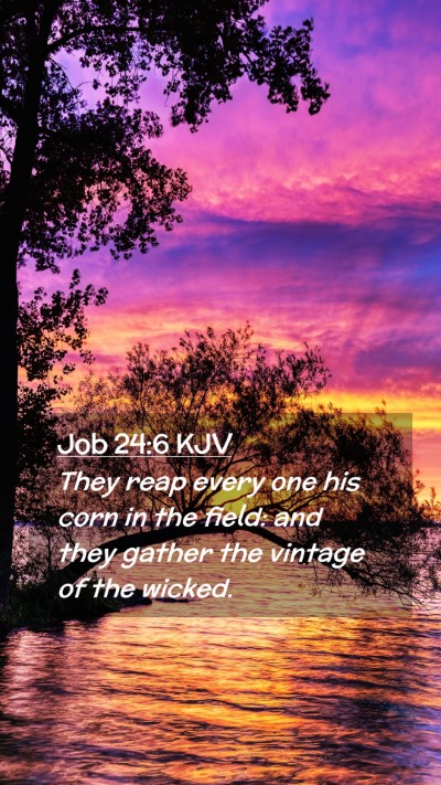 Picture 02 - Job 24:6 KJV Mobile Phone Wallpaper - They reap every one his corn in the field: and - Mobile Bible Verse Wallpaper