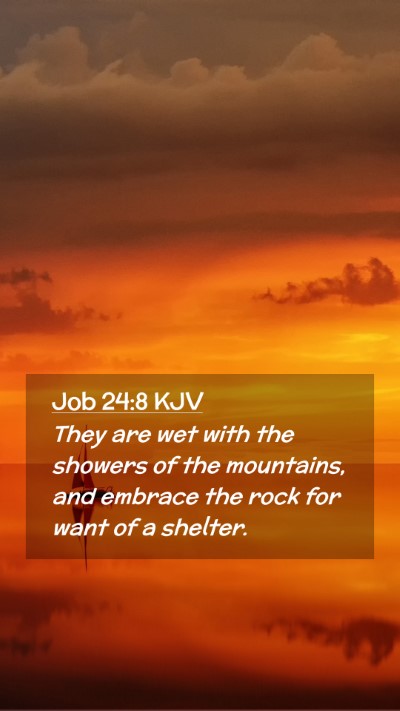 Picture 02 - Job 24:8 KJV Mobile Phone Wallpaper - They are wet with the showers of the mountains, - Mobile Bible Verse Wallpaper