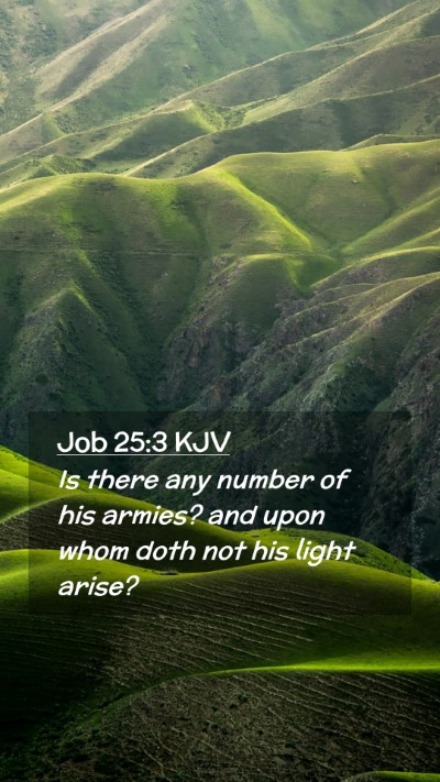 Picture 02 - Job 25:3 KJV Mobile Phone Wallpaper - Is there any number of his armies? and upon whom - Mobile Bible Verse Wallpaper