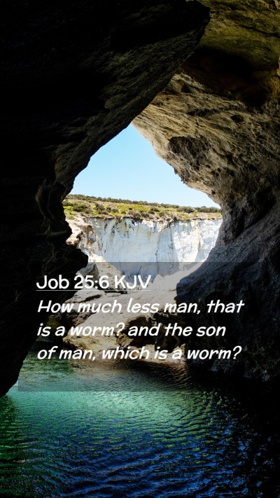 Picture 02 - Job 25:6 KJV Mobile Phone Wallpaper - How much less man, that is a worm? and the son of - Mobile Bible Verse Wallpaper