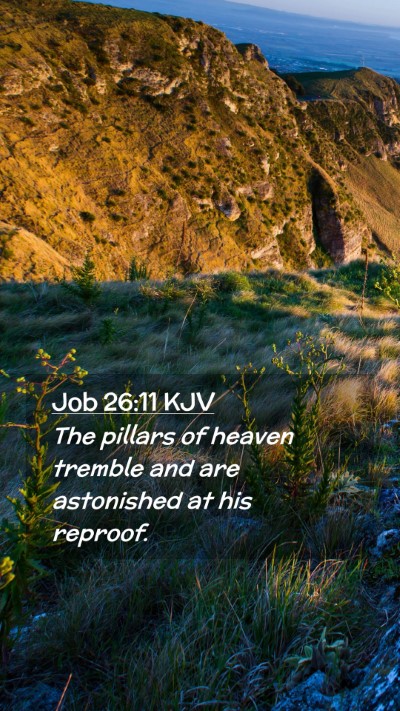 Picture 02 - Job 26:11 KJV Mobile Phone Wallpaper - The pillars of heaven tremble and are astonished - Mobile Bible Verse Wallpaper