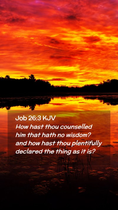 Picture 02 - Job 26:3 KJV Mobile Phone Wallpaper - How hast thou counselled him that hath no wisdom? - Mobile Bible Verse Wallpaper
