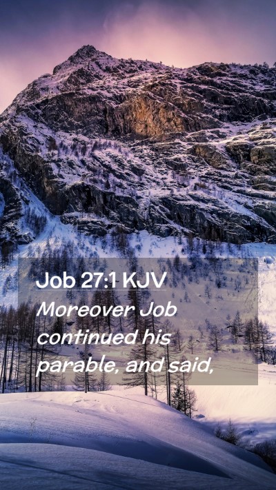 Picture 02 - Job 27:1 KJV Mobile Phone Wallpaper - Moreover Job continued his parable, and - Mobile Bible Verse Wallpaper