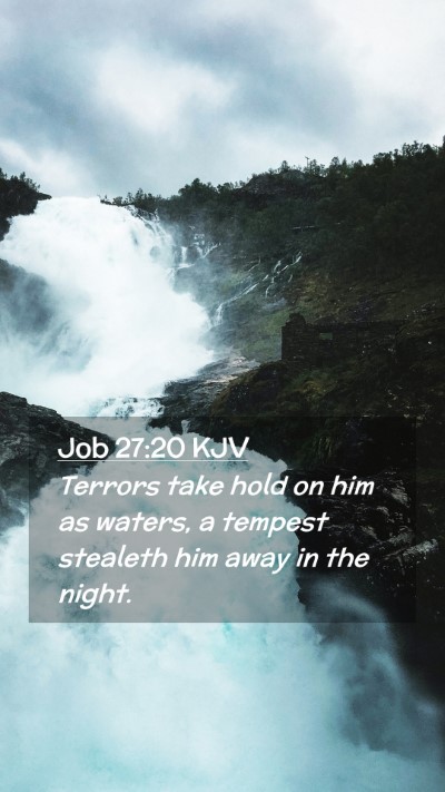 Picture 02 - Job 27:20 KJV Mobile Phone Wallpaper - Terrors take hold on him as waters, a tempest - Mobile Bible Verse Wallpaper