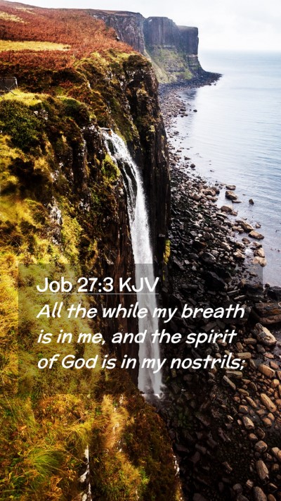 Picture 02 - Job 27:3 KJV Mobile Phone Wallpaper - All the while my breath is in me, and the spirit - Mobile Bible Verse Wallpaper