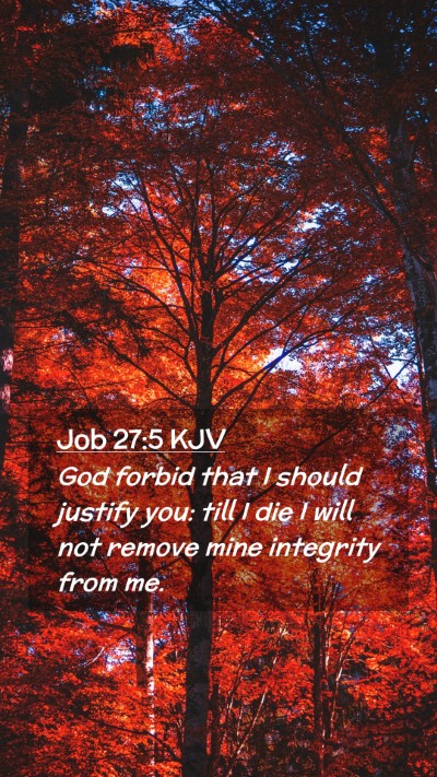 Picture 02 - Job 27:5 KJV Mobile Phone Wallpaper - God forbid that I should justify you: till I die - Mobile Bible Verse Wallpaper