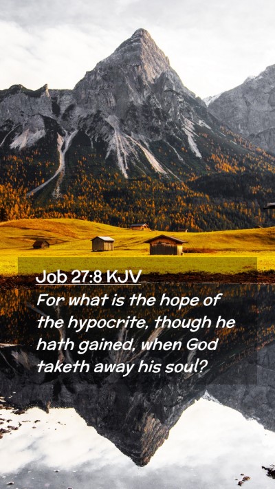 Picture 02 - Job 27:8 KJV Mobile Phone Wallpaper - For what is the hope of the hypocrite, though he - Mobile Bible Verse Wallpaper