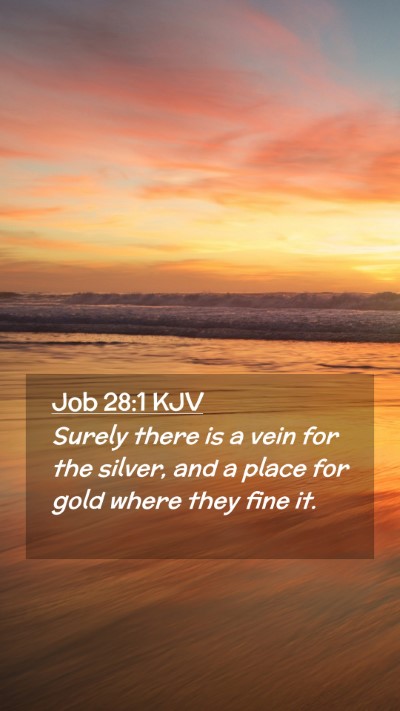 Picture 02 - Job 28:1 KJV Mobile Phone Wallpaper - Surely there is a vein for the silver, and a - Mobile Bible Verse Wallpaper
