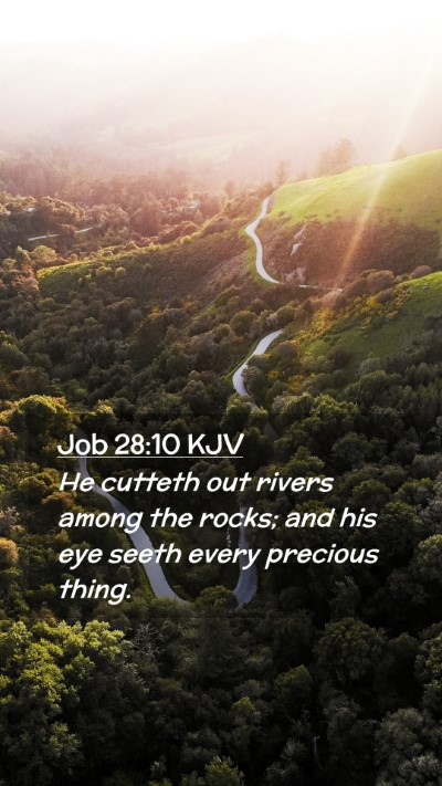 Picture 02 - Job 28:10 KJV Mobile Phone Wallpaper - He cutteth out rivers among the rocks; and his - Mobile Bible Verse Wallpaper