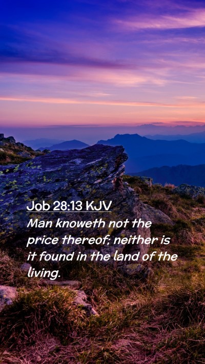 Picture 02 - Job 28:13 KJV Mobile Phone Wallpaper - Man knoweth not the price thereof; neither is it - Mobile Bible Verse Wallpaper