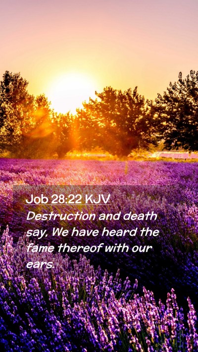 Picture 02 - Job 28:22 KJV Mobile Phone Wallpaper - Destruction and death say, We have heard the fame - Mobile Bible Verse Wallpaper