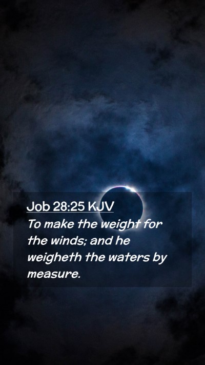 Picture 02 - Job 28:25 KJV Mobile Phone Wallpaper - To make the weight for the winds; and he weigheth - Mobile Bible Verse Wallpaper