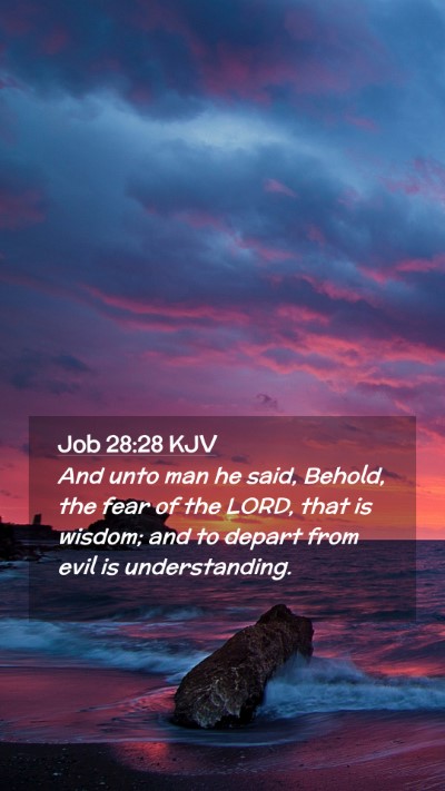 Picture 02 - Job 28:28 KJV Mobile Phone Wallpaper - And unto man he said, Behold, the fear of the - Mobile Bible Verse Wallpaper