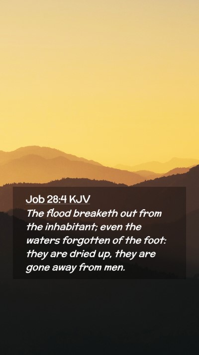 Picture 02 - Job 28:4 KJV Mobile Phone Wallpaper - The flood breaketh out from the inhabitant; even - Mobile Bible Verse Wallpaper