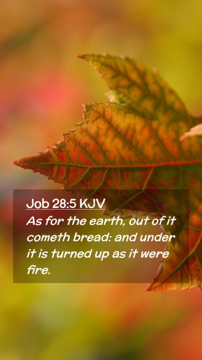 Picture 02 - Job 28:5 KJV Mobile Phone Wallpaper - As for the earth, out of it cometh bread: and - Mobile Bible Verse Wallpaper