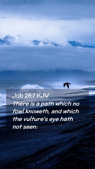 Picture 02 - Job 28:7 KJV Mobile Phone Wallpaper - There is a path which no fowl knoweth, and which - Mobile Bible Verse Wallpaper