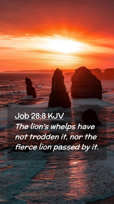 Picture 02 - Job 28:8 KJV Mobile Phone Wallpaper - The lion's whelps have not trodden it, nor the - Mobile Bible Verse Wallpaper