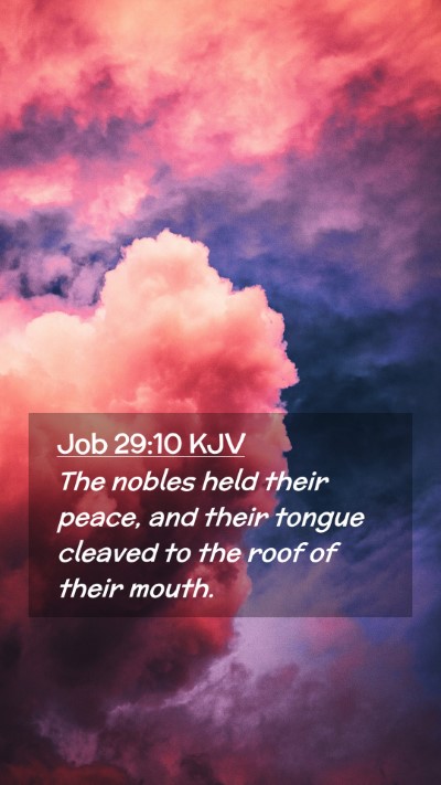 Picture 02 - Job 29:10 KJV Mobile Phone Wallpaper - The nobles held their peace, and their tongue - Mobile Bible Verse Wallpaper