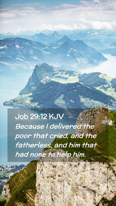Picture 02 - Job 29:12 KJV Mobile Phone Wallpaper - Because I delivered the poor that cried, and the - Mobile Bible Verse Wallpaper