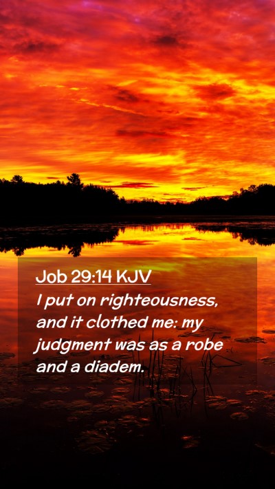 Picture 02 - Job 29:14 KJV Mobile Phone Wallpaper - I put on righteousness, and it clothed me: my - Mobile Bible Verse Wallpaper