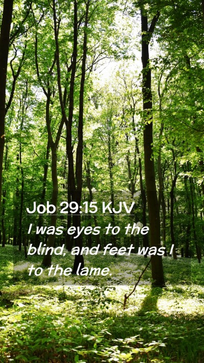 Picture 02 - Job 29:15 KJV Mobile Phone Wallpaper - I was eyes to the blind, and feet was I to the - Mobile Bible Verse Wallpaper