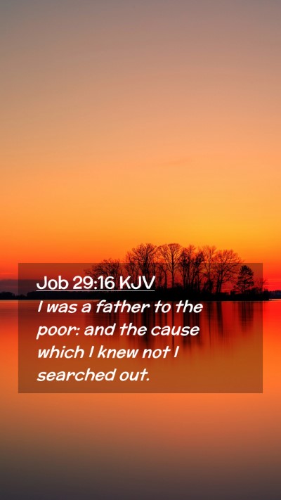 Picture 02 - Job 29:16 KJV Mobile Phone Wallpaper - I was a father to the poor: and the cause which I - Mobile Bible Verse Wallpaper